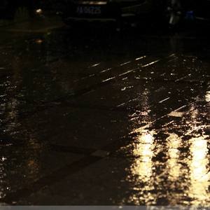 欧美另类⭕⭕⭕⭕69
