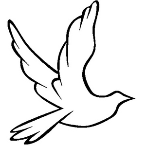 欧美另类⭕⭕⭕⭕69
